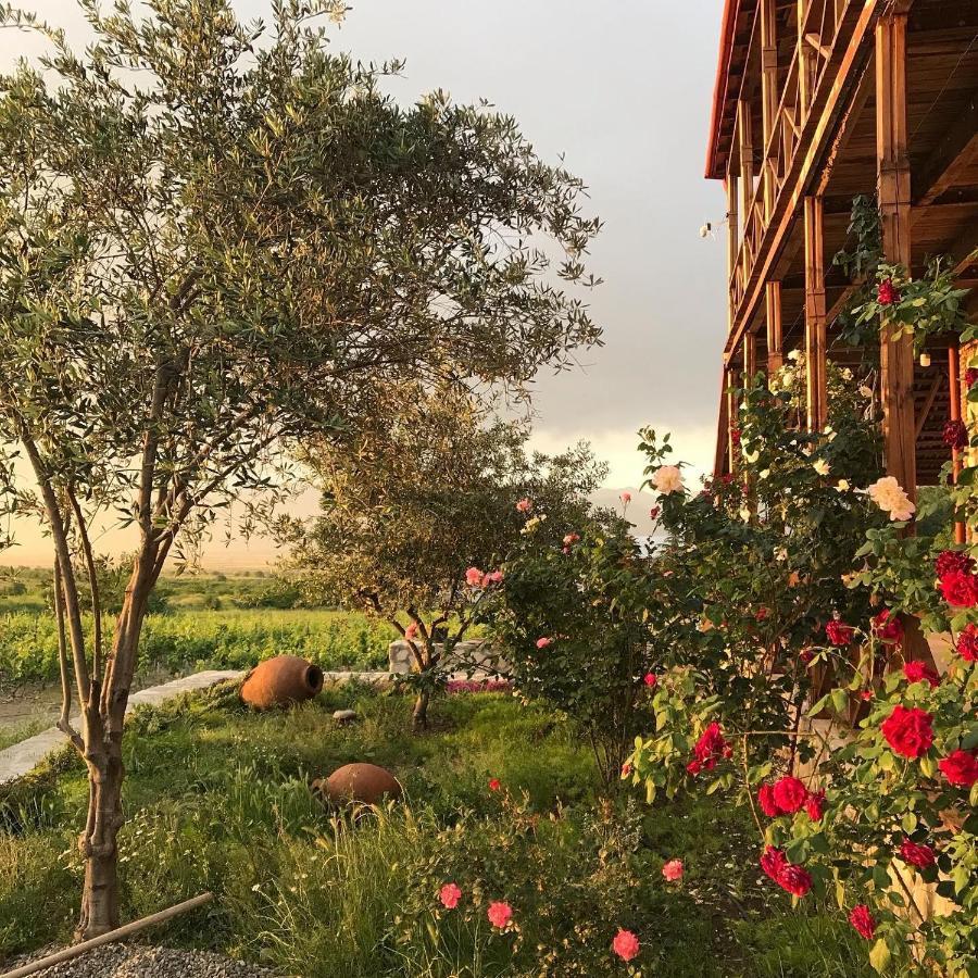Вилла Elizbar Talakvadze Winery Kardanakhi Экстерьер фото