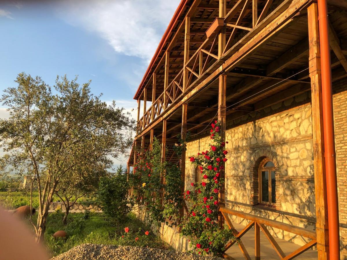 Вилла Elizbar Talakvadze Winery Kardanakhi Экстерьер фото