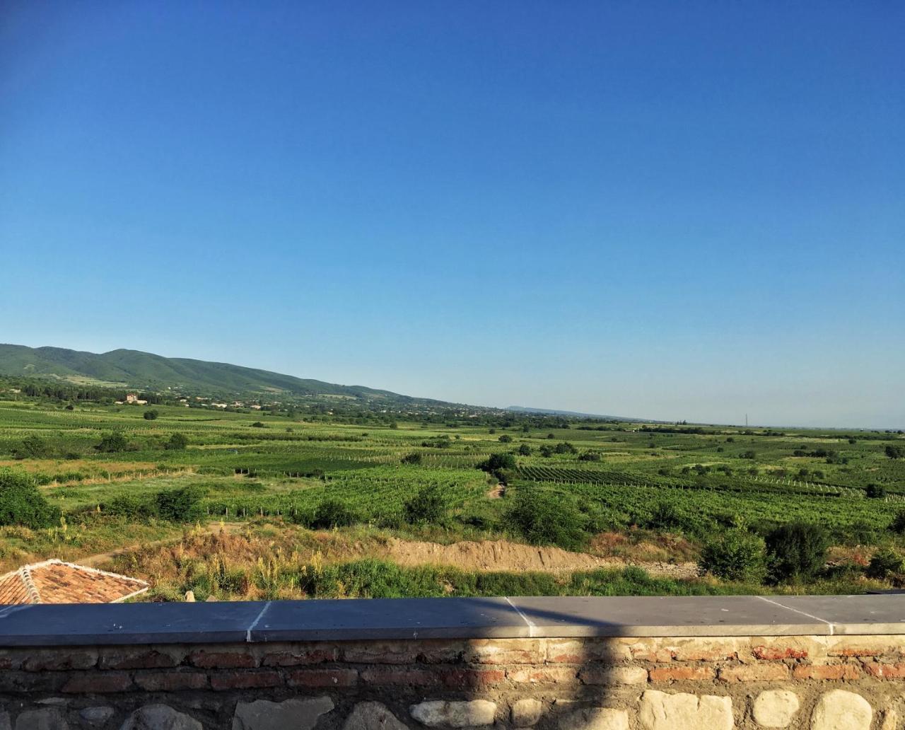 Вилла Elizbar Talakvadze Winery Kardanakhi Экстерьер фото